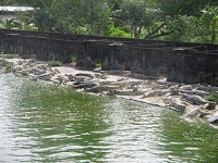 Penangkaran Buaya Teritip