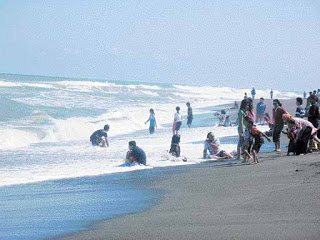 Pantai Depok di Jogja / Yogyakarta Wisata Pantai