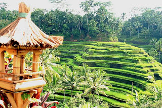 Objek wisata Bali - Tegallalang, Tegallalang, Gianyar
