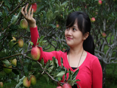 Kusuma Agrowisata Malang