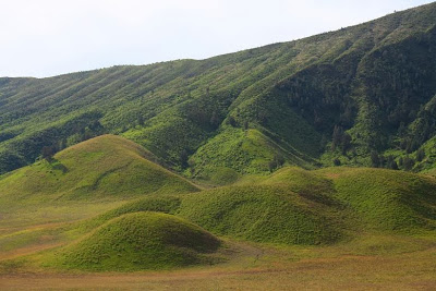 Padang Savana Bromo / Bukit teletubbies