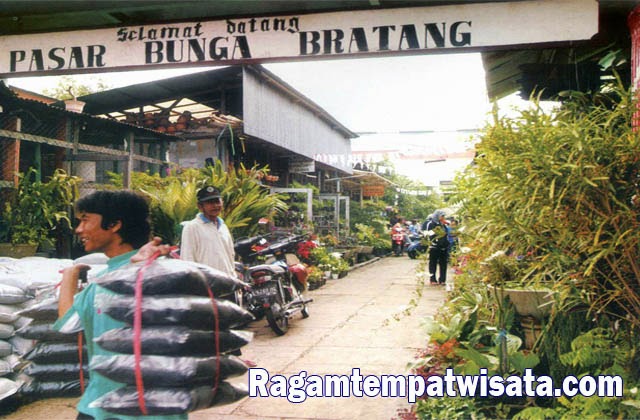 Pasar Bunga Bratang, Tempat cari Bunga di Surabaya