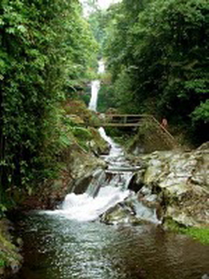 Wisata Alam Air Terjun Gedangan - Bantul