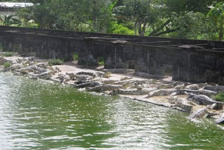 Wisata Penangkaran buaya makroman Samarinda