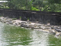 Wisata Penangkaran buaya makroman Samarinda