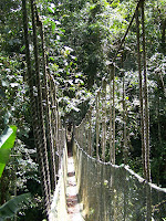 Pusat Pendidikan Konservasi Alam