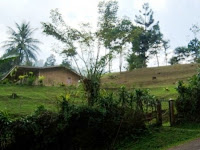 Wana Wisata Citamiang