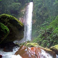 Wana Wisata Curug Panjang