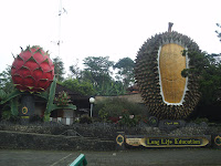 Wisata Warso Farm
