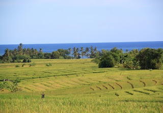 Beraban, Selemadeg Timur, Tabanan