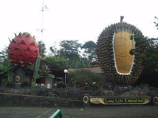 Warso Farm Bogor