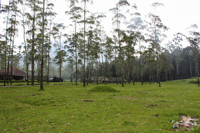 Bumi Perkemahan Ranca Upas Bandung