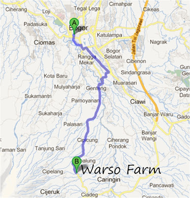 Map / Peta Warso Farm, Kebun durian Warso di bogor