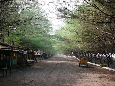 Kawasan Pantai Kuwaru di Bantul, Yogyakarta