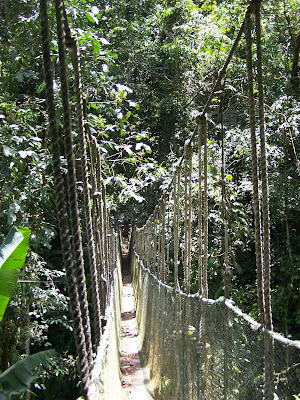 Pusat Pendidikan Konservasi Alam Bodogol di Bogor