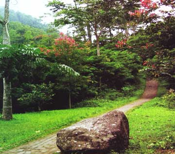 Taman Hutan Raya Juanda Taman Hutan Raya Juanda