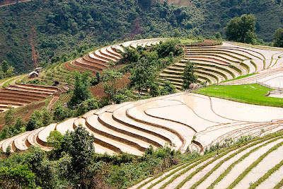 Tempat Wisata Alam Sa Pa Terraces - Vietnam Tempat Wisata Alam Sa Pa Terraces - Vietnam