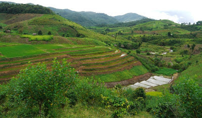 thailand tourism nan pu tiger thailand tourism nan pu tiger