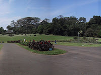 Wisata Kebun atau Botani Raya Bogor