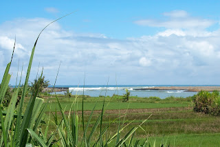 Pantai congot terlihat dari jauh