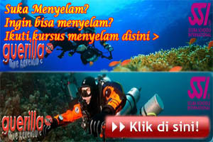 Tempat Kursus Menyelam